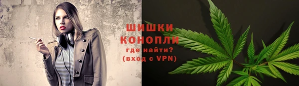 стаф Майский
