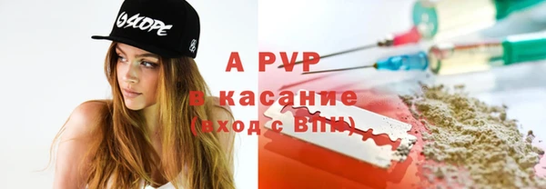 стаф Майский