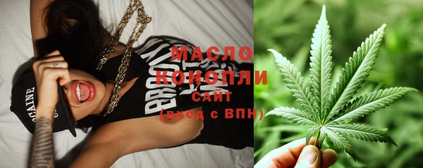 стаф Майский